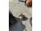 Sump Pump