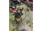 Pressure Washer