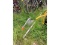 Anchor & Angle Iron