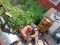 Lawnmower, Barrel Cart & Barrel