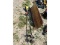 Ryobi Trimmer