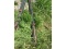 10 Steel Stakes