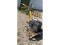 Cub Cadet Roto Tiller