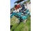 New Dig Master DM200 2 Ton Diesel Excavator