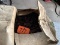 Box of Cultivator Bolts