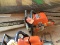 Stihl MS 250 - Runs