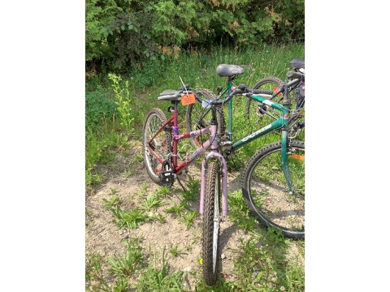Next 18 Speed Bike