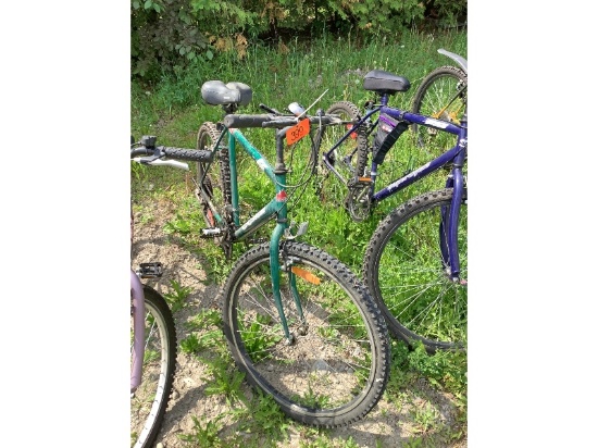 CCM 18 Speed Bike