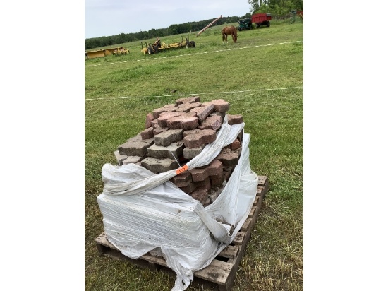 Skid of Interlocking Brick