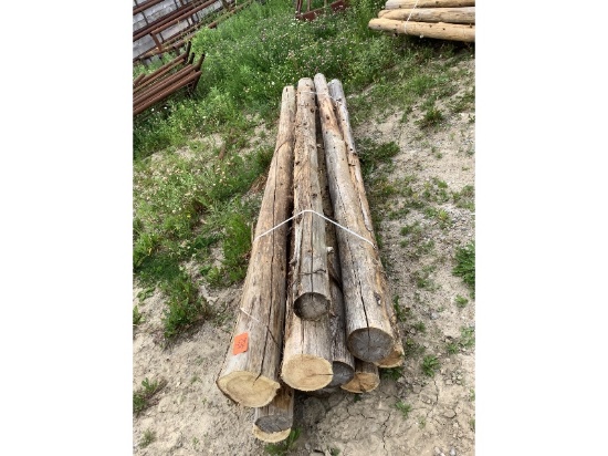 10 Cedar Posts