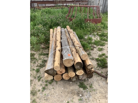 16 Cedar Posts