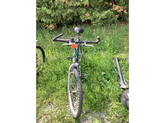 Bonelli 21 Speed Bike