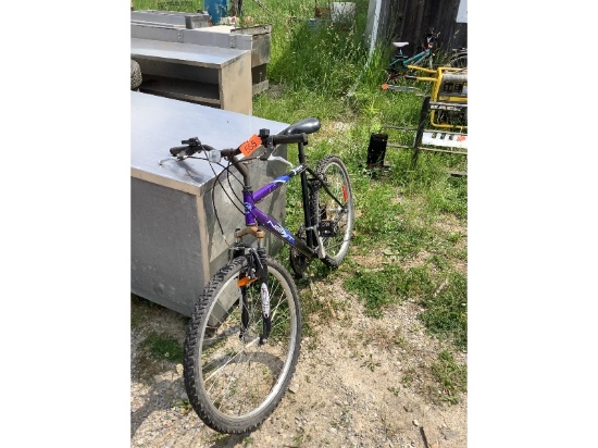 Next 18 Speed Bike