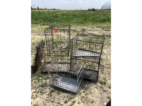 Pet Cages