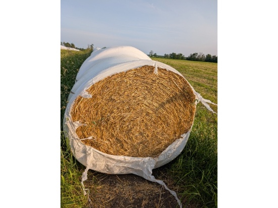 25- 4'x5' Round Bales of Wheat Straw