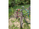 Next 18 Speed Bike