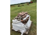 Skid of Interlocking Brick