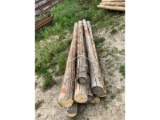 10 Cedar Posts