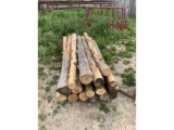 16 Cedar Posts