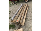 10 Cedar Posts