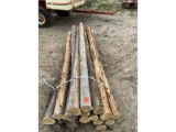 20 Cedar Posts