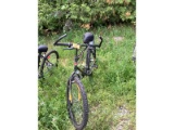 CCM 21 Speed Bike