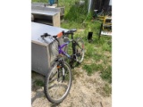 Next 18 Speed Bike