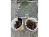 2 Pails of Gate Pins