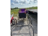 Buggy with Shafts