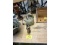 Row of Collectibles