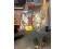 Scissors Sets