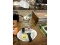 Row of Housewares