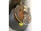 Ibanez Guitar & Case