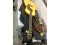 Yamaha Guitar & Case