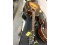 Seagull Guitar & Case