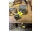 Cast Iron Piggy Banks