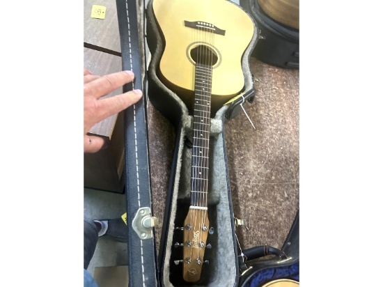 Seagull Guitar & Case
