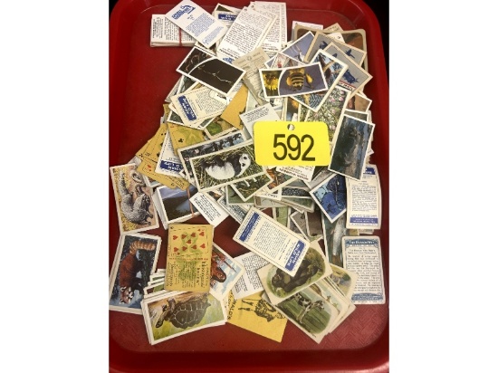 Tray of Cigarette Cards