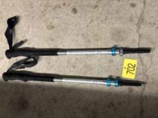 Walking Sticks