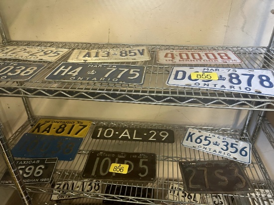 Shelf of License Plates