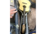 Seagull Guitar & Case