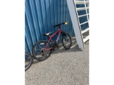 Avigo Bike
