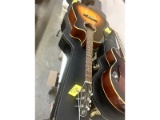 Seagull Guitar & Case