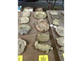 Ash Trays