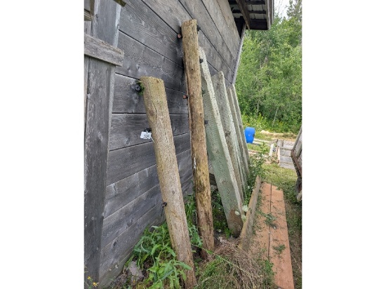 Pressure Treated Posts