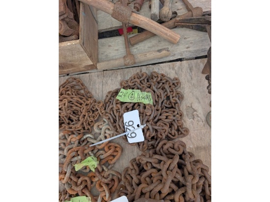 24' Chain 2 Hooks