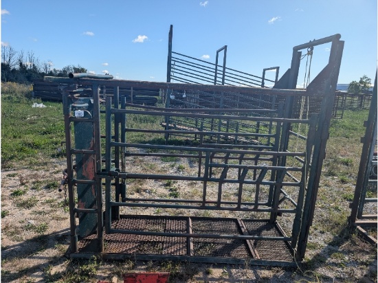 Cattle Chute With Rear Door & Opening Sides