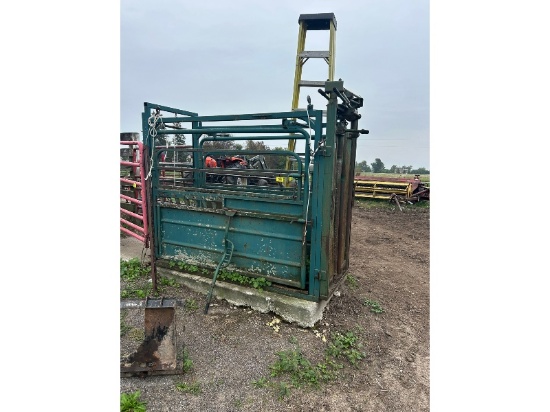 Martin Cattle Squeeze
