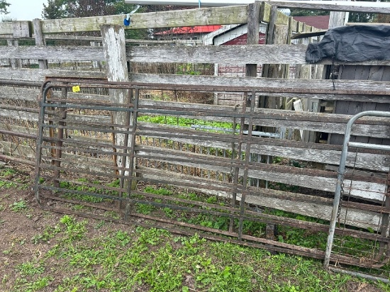 2 - 10' Steel Gates