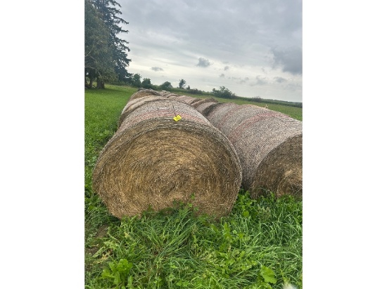 45 Round Bales Of Net Wrapped Hay